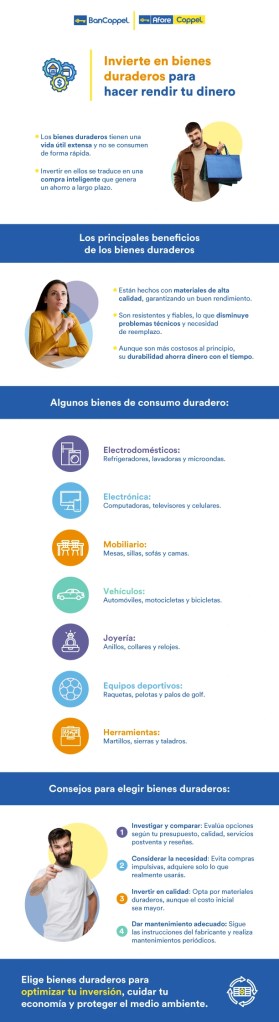 Infografía sobre invertir en bienes duraderos