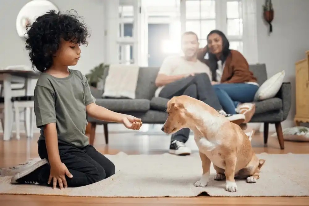 Niño con su mascota en casa, y padres observandolos
