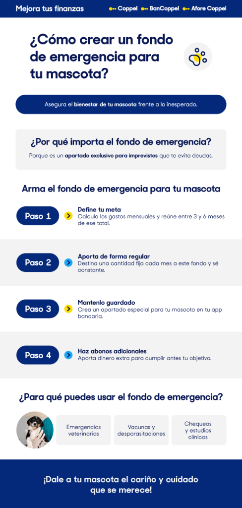 infografía sobre un fondo de emergencia para las mascotas
