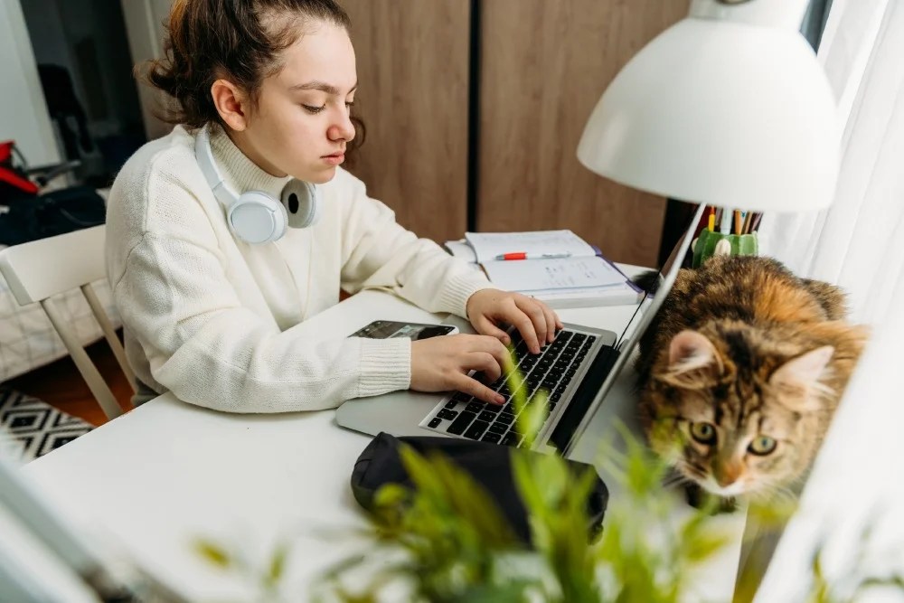  La importancia de la tenencia responsable de mascotas.