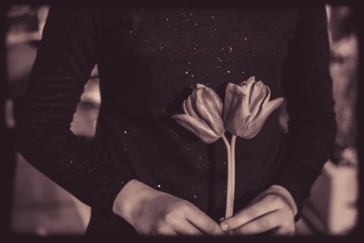 ¿Qué es la pensión de viudez IMSS? Conoce los detalles