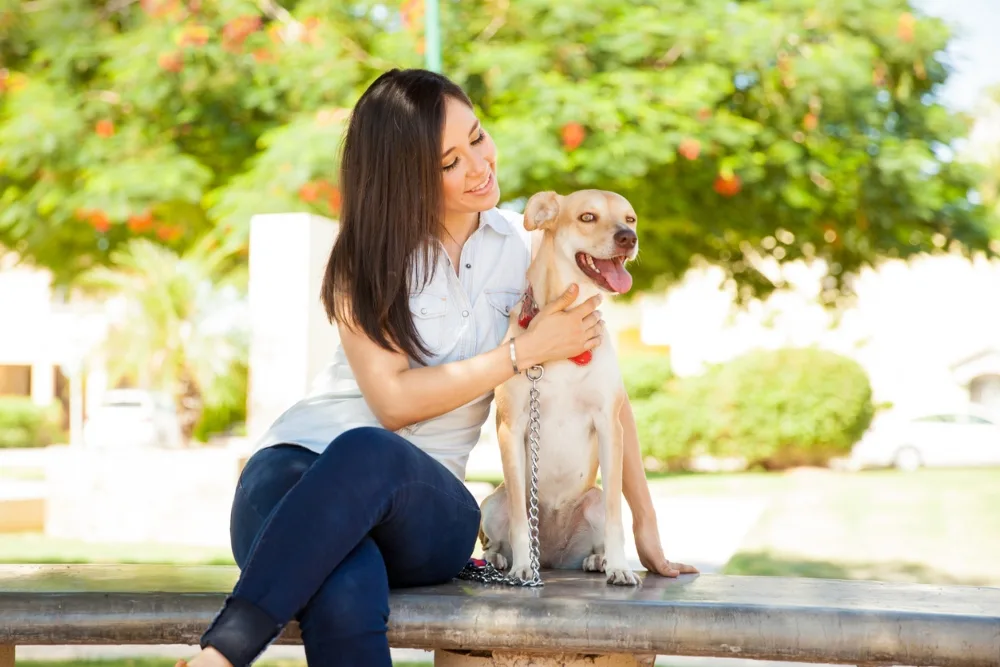 ¿Cómo calcular el gasto mensual de un perro?