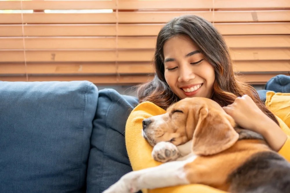 qué es una emergencia veterinaria