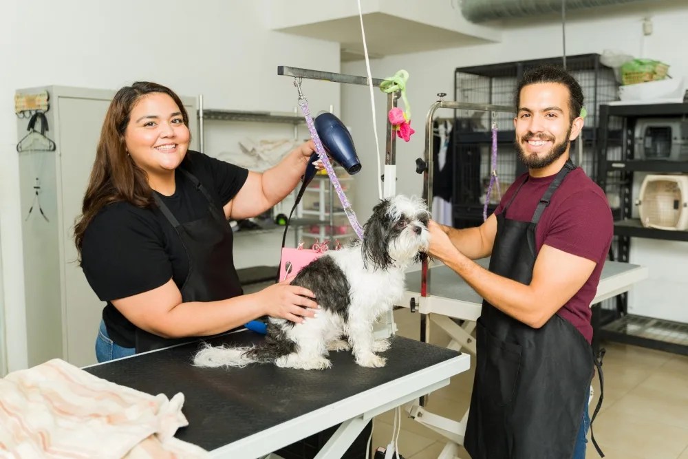 emprendedores de peluqueria canina
