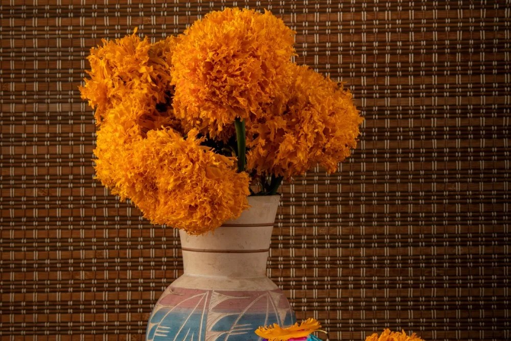 Altar de día de muertos